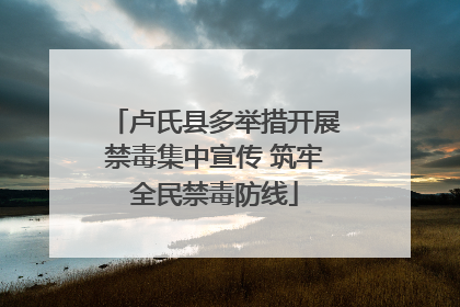 卢氏县多举措开展禁毒集中宣传 筑牢全民禁毒防线