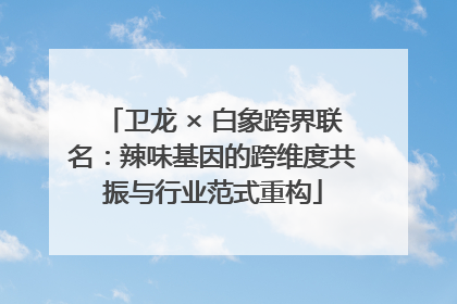 卫龙 × 白象跨界联名：辣味基因的跨维度共振与行业范式重构