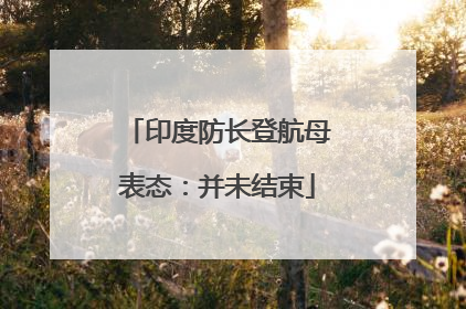 印度防长登航母表态：并未结束