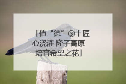 值“德”③丨匠心浇灌 隆子高原培育希望之花