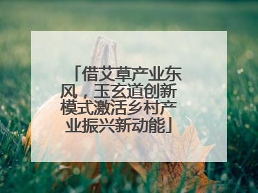 借艾草产业东风，玉玄道创新模式激活乡村产业振兴新动能