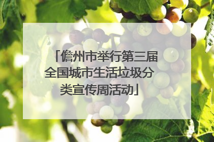 儋州市举行第三届全国城市生活垃圾分类宣传周活动