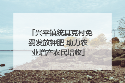 兴平镇统其克村免费发放钾肥 助力农业增产农民增收