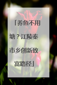 养鱼不用塘？江陵秦市乡创新致富路径