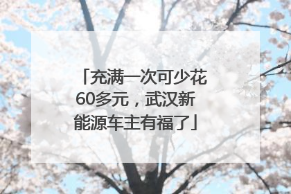 充满一次可少花60多元，武汉新能源车主有福了