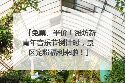 免票、半价！潍坊新青年音乐节倒计时，景区宠粉福利来啦！