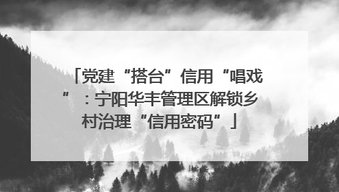 党建“搭台”信用“唱戏”：宁阳华丰管理区解锁乡村治理“信用密码”