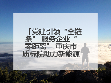 党建引领“全链条” 服务企业“零距离” 重庆市质标院助力新能源汽车产业链提升质量管理水平