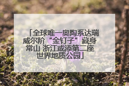 全球唯一奥陶系达瑞威尔阶“金钉子”藏身常山 浙江或添第二座世界地质公园