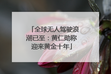全球无人驾驶浪潮已至：黄仁勋称迎来黄金十年