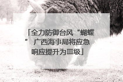 全力防御台风“蝴蝶” 广西海事局将应急响应提升为Ⅲ级