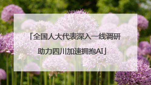 全国人大代表深入一线调研 助力四川加速拥抱AI