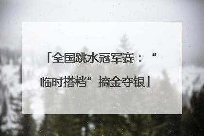 全国跳水冠军赛：“临时搭档”摘金夺银
