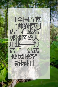 全国首家“帅猫便利店”在成都郫都区盛大开业——打造“一站式便民服务”新标杆