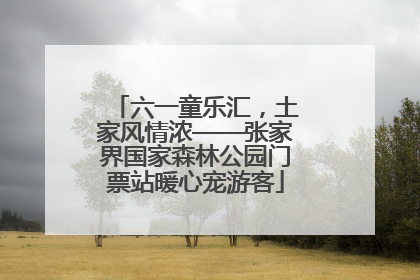 六一童乐汇，土家风情浓——张家界国家森林公园门票站暖心宠游客