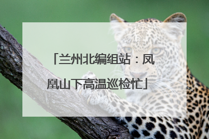 兰州北编组站：凤凰山下高温巡检忙