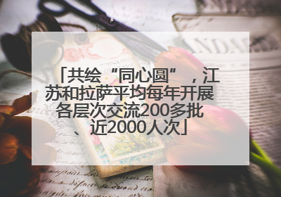 共绘“同心圆”，江苏和拉萨平均每年开展各层次交流200多批、近2000人次