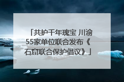 共护千年瑰宝 川渝55家单位联合发布《石窟联合保护倡议》
