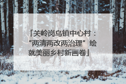 关岭岗乌镇中心村：“两清两改两治理”绘就美丽乡村新画卷