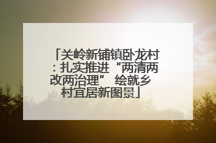 关岭新铺镇卧龙村：扎实推进“两清两改两治理” 绘就乡村宜居新图景