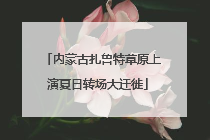 内蒙古扎鲁特草原上演夏日转场大迁徙