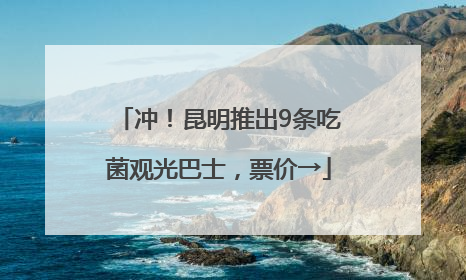 冲！昆明推出9条吃菌观光巴士，票价→