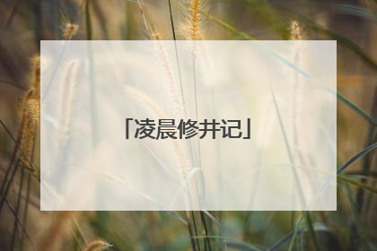 凌晨修井记