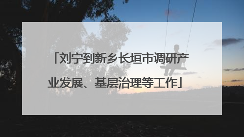 刘宁到新乡长垣市调研产业发展、基层治理等工作