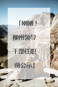 刚刚！柳州领导干部任职前公示