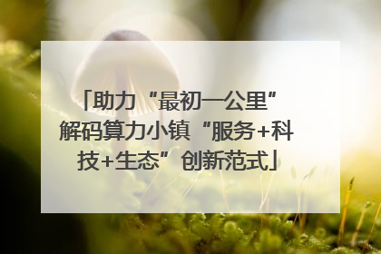 助力“最初一公里” 解码算力小镇“服务+科技+生态”创新范式