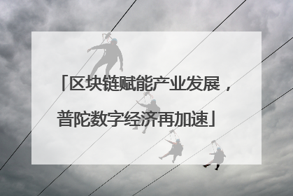 区块链赋能产业发展，普陀数字经济再加速