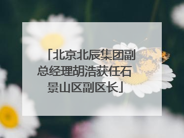 北京北辰集团副总经理胡浩获任石景山区副区长