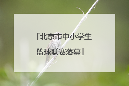 北京市中小学生篮球联赛落幕