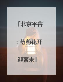 北京平谷：芍药花开迎客来
