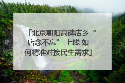 北京朝阳高碑店乡“店念不忘” 上线 如何精准对接民生需求