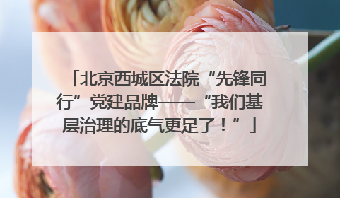 北京西城区法院“先锋同行”党建品牌——“我们基层治理的底气更足了！”