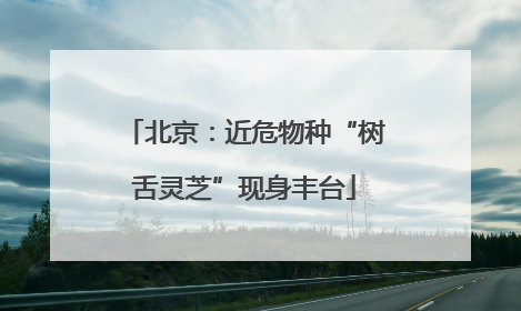 北京：近危物种“树舌灵芝”现身丰台