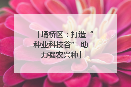 埇桥区：打造“种业科技谷” 助力强农兴种
