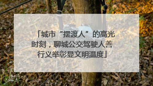 城市“摆渡人”的高光时刻，聊城公交驾驶人善行义举彰显文明温度