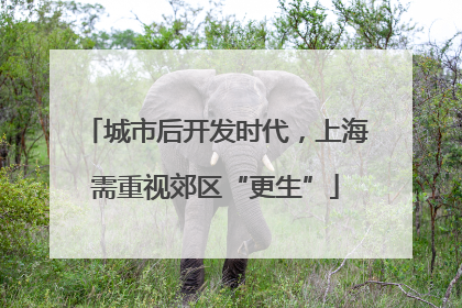 城市后开发时代，上海需重视郊区“更生”