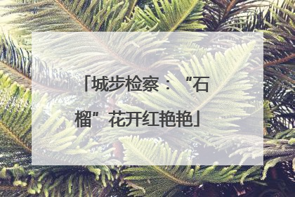 城步检察：“石榴”花开红艳艳