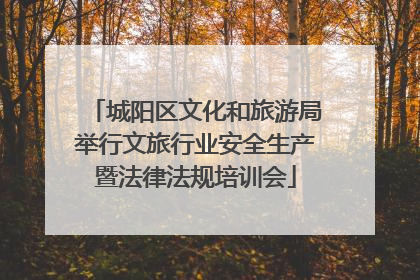 城阳区文化和旅游局举行文旅行业安全生产暨法律法规培训会