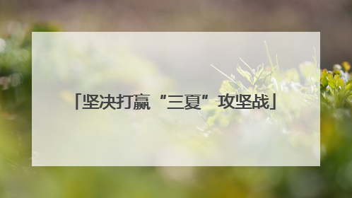 坚决打赢“三夏”攻坚战
