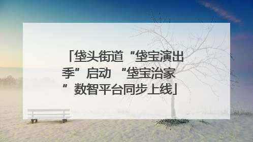 垡头街道“垡宝演出季”启动 “垡宝治家”数智平台同步上线