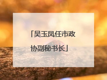 吴玉凤任市政协副秘书长