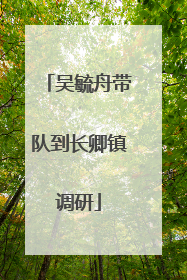 吴毓舟带队到长卿镇调研