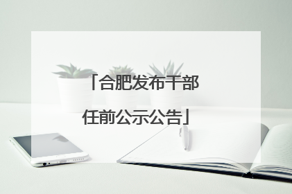 合肥发布干部任前公示公告