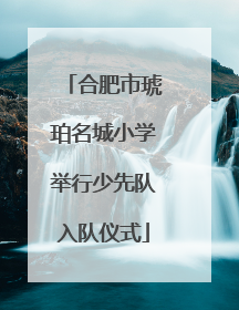 合肥市琥珀名城小学举行少先队入队仪式