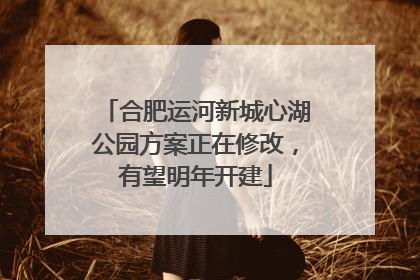 合肥运河新城心湖公园方案正在修改，有望明年开建