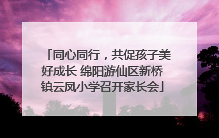 同心同行，共促孩子美好成长 绵阳游仙区新桥镇云凤小学召开家长会